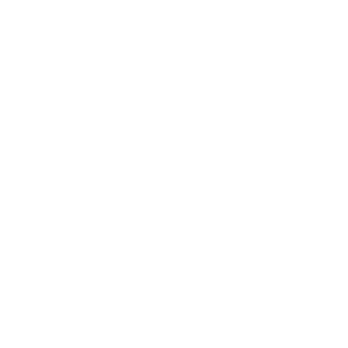 iPhone icon